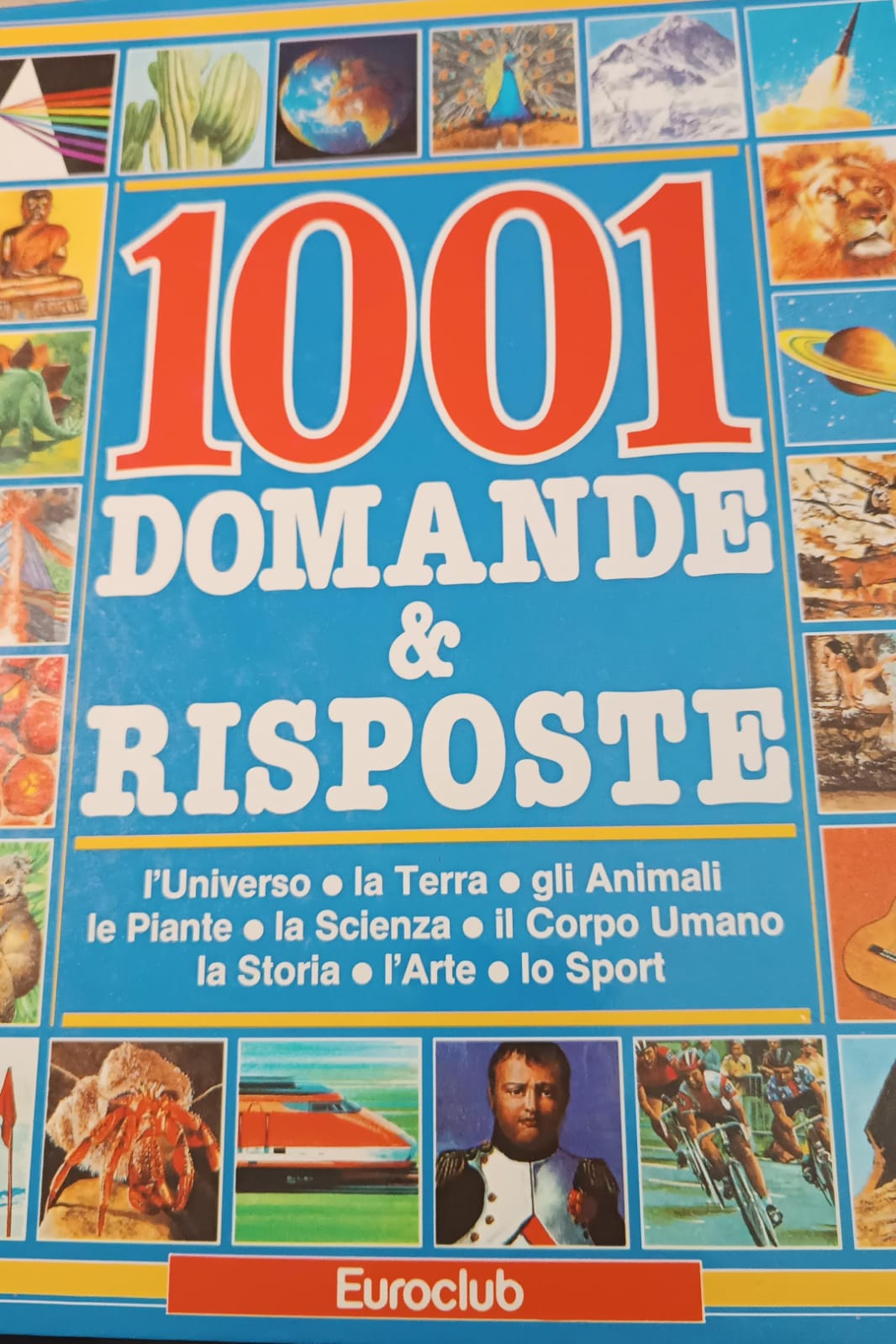 Copertina di 1001 domande e risposte